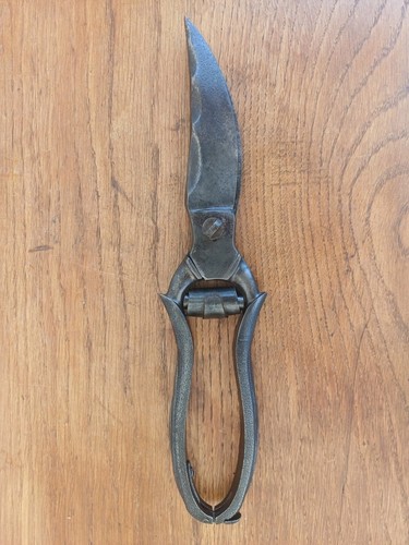 Ancien secateur vigne - vigne, 24cm