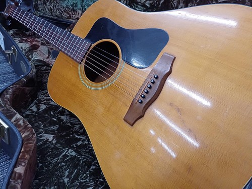 Guitare acoustique guild d25nt - acoustique,