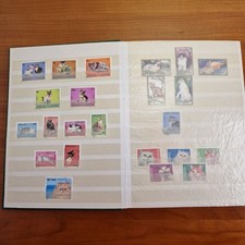 Collection de motifs chats