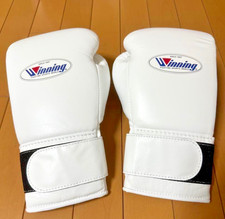 Nouveaux gants de boxe