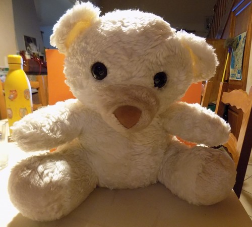 Ours peluche blanc - ours, cm