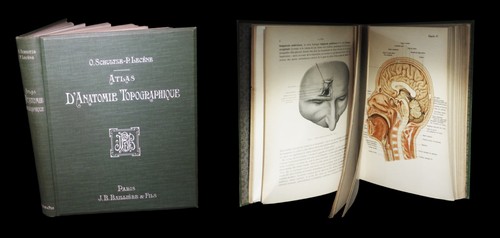 Medecine anatomie chirurgie - [medecine, chirurgie]