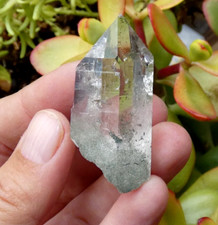 Quartz Chlorite Window 4.5x2cm Minerals Collection Stone Lithotherapy