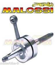 Vilebrequin Embiellage MALOSSI