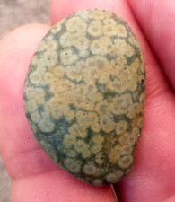 superb Variolite 28mm Natural Raw Volcanic Rock Minerals Fine Stone