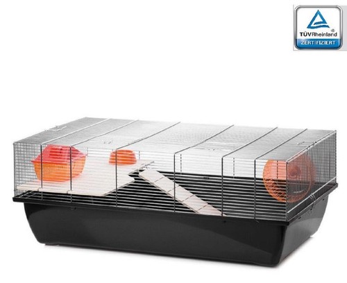 Cage souris - souris,