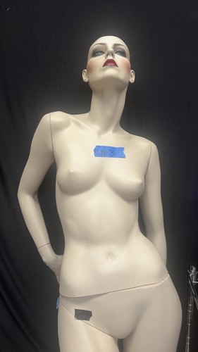 Used adel rootstein - rootstein, female