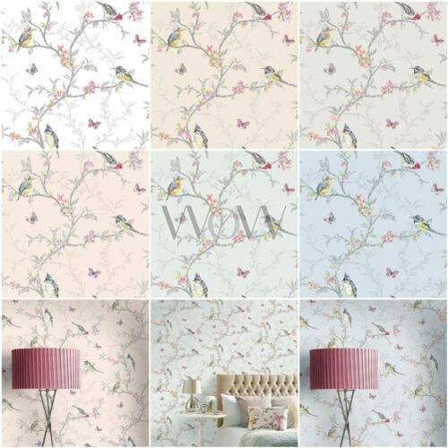 Phoebe oiseaux papier peint - phoebe,