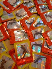 lot revendeur destockage neuf