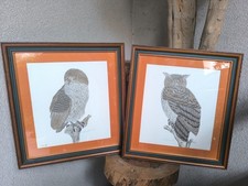 Dayelle de Terronblan deux dessins originaux d'une chouette et un hibou
