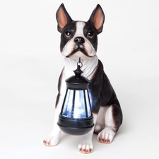 - Boston Terrier Solar Lantern