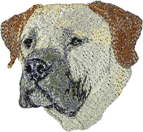 Boerboel, mastiff d'Afrique du