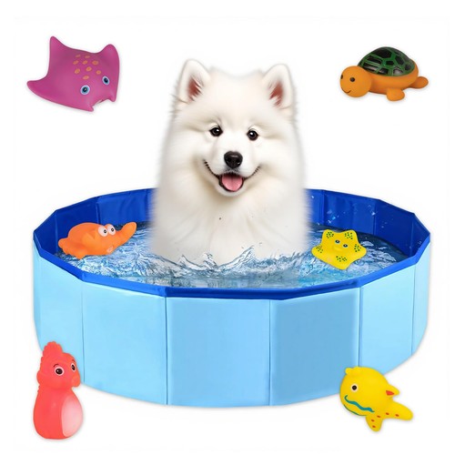 Piscine chat 10cm pour - 50,