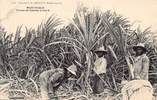 Martinique - Coup de canes à sugarcane - Ed. A. Benoit 183