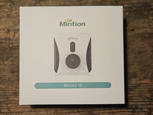 Mintion beagle - mintion,