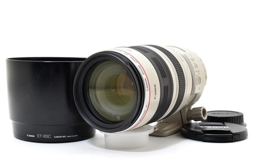 Canon 100 400mm 5 6l - canon, ef