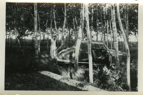 Old photo vintage - old,