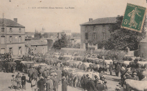 Cpa les aubiers - les,