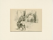 GERMAN SPITZ POMERANIAN DOGS AT DOG SHOW 1934 ART PRINT by PERSIS KIRMSE