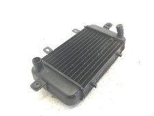 Radiateur Eau Liquide Refroidissement Moteur BMW C1 125 2001 WB10191A
