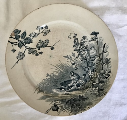 Assiette fauvette bfk - assiette, boch