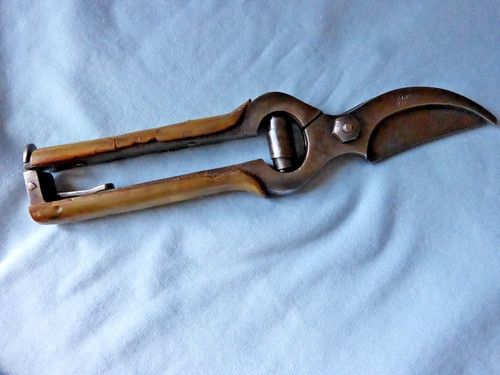 Outil ancien beau sécateur