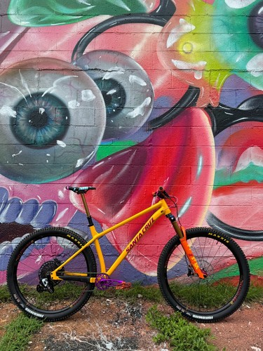 Santa cruz chameleon full - chameleon,,