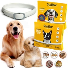 Collier Anti-insectes-puces et