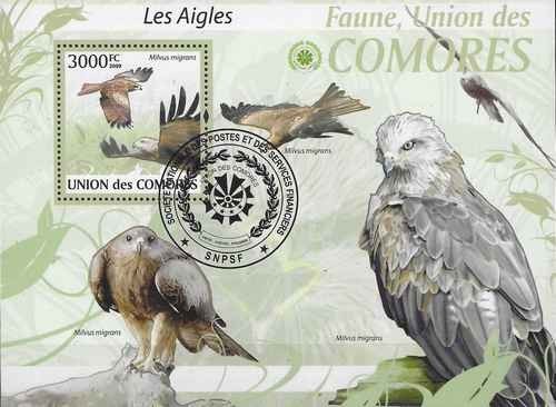 Timbre oiseaux rapaces comores - timbre,