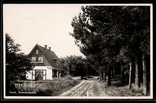 Carte postale texel - postale,