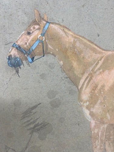 Study watercolor equestrian - watercolor,