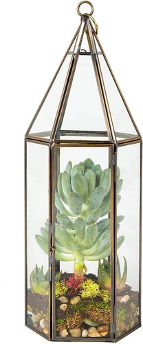 Deco glass hexagon terrarium - glass,