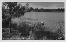 45 VIGLAIN ETANG DE SOLOGNE