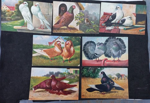 Cartes postales anciennes - 7,