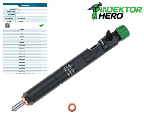 Ejbr03101d delphi injecteur - delphi,