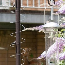 Protection mangeoire à