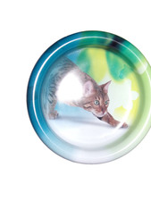 1 gamelle pour chat neuve en