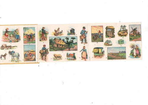 Ancien planche decalcomanie - ancien,