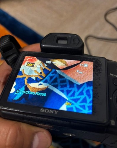 Sony cyber shot - cyber,