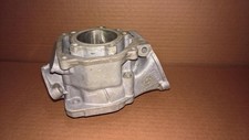 Rotax Max FR125 Kart Engine Motor Cylinder 223999 Junior, Mini, Micro {#2}