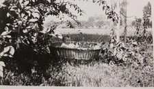 Baby In A Wicker Crib / Basket