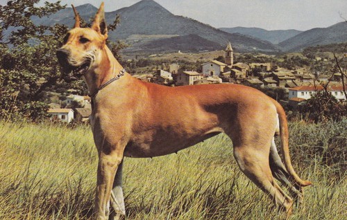 Carte postale postcard - , 10x15cm