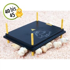 Plaque chauffante poussins