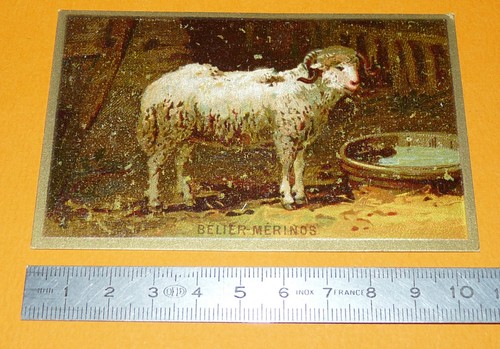 Chromo bledine jacquemaire - chromo,