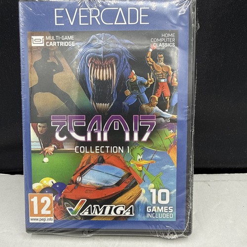 Blaze evercade team - blaze, 17