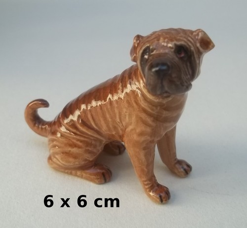 Magnifique chien miniature - magnifique, en