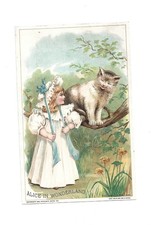 VTC for Alice In Wonderland Cheshire Cat  Mfg Woolson Spice Toledo OHLate 1800's