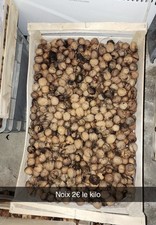 Noix Fraîche