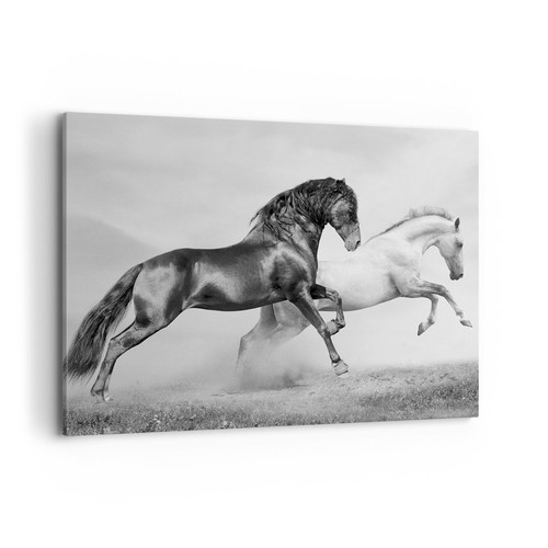 Impression sur toile 100x70cm - impression,