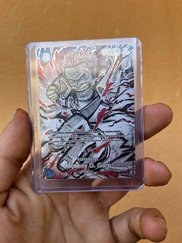 One piece monkey garp - monkey, d.
